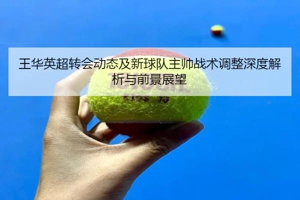 王华英超转会动态及新球队主帅战术调整深度解析与前景展望
