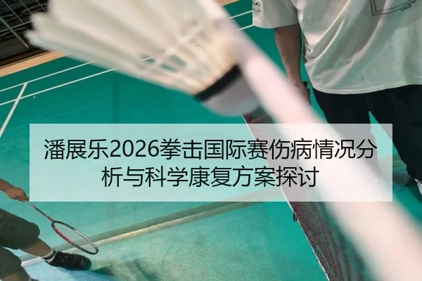潘展乐2026拳击国际赛伤病情况分析与科学康复方案探讨