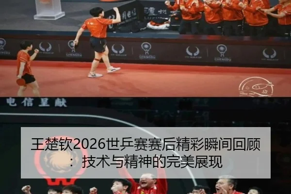王楚钦2026世乒赛赛后精彩瞬间回顾：技术与精神的完美展现